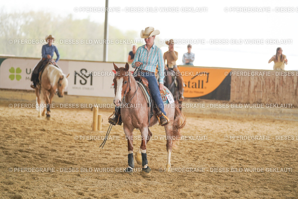 DSC05671 | Pferdegrafie