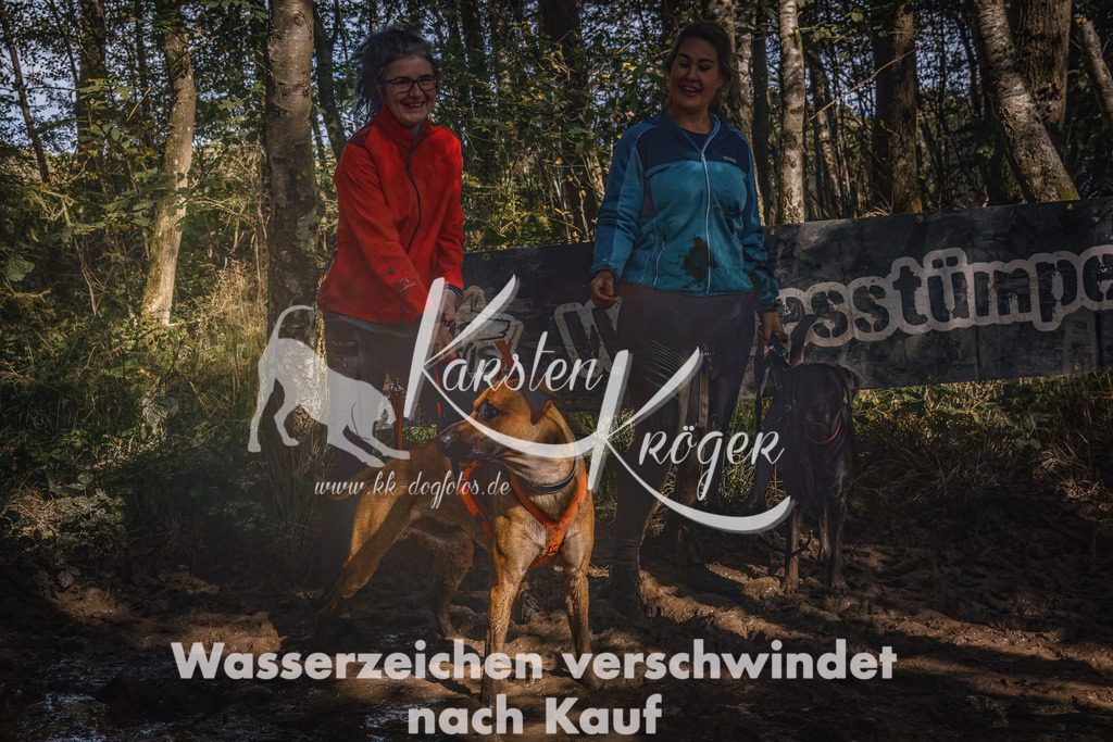 1325_ZZ91398-Bearbeitet | kk-dogfotos