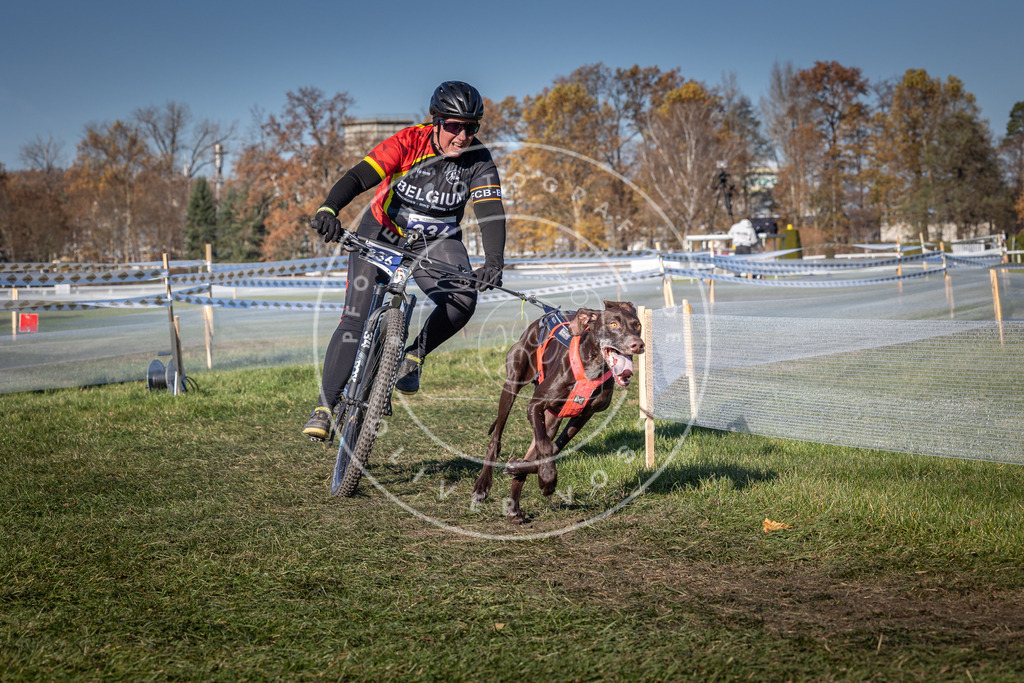 CaniXpix_0L8A5851 | Hundefotografie, Tierfotograf, Pfotenfotografie, Fotoshooting Hund, Hunde Portrait, Hundesport, Hundeportraits, Heideshooting, Hunde, Sportfotograf, Hundefotograf, Turnierhundsport, THS,  - Realisiert mit Pictrs.com