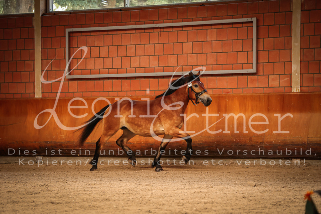 SaFL00092 | Leoni Ertmer Photography - Realisiert mit Pictrs.com