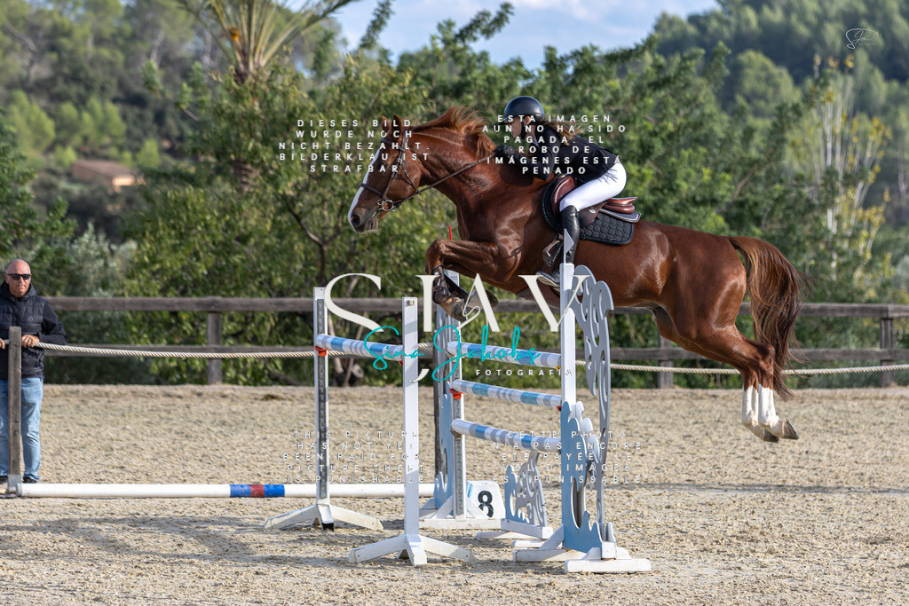 IMG_0410 | s-jay-photography - Realisiert mit Pictrs.com