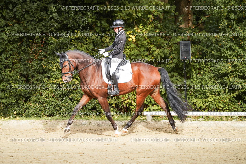 DSC09195 | Pferdegrafie