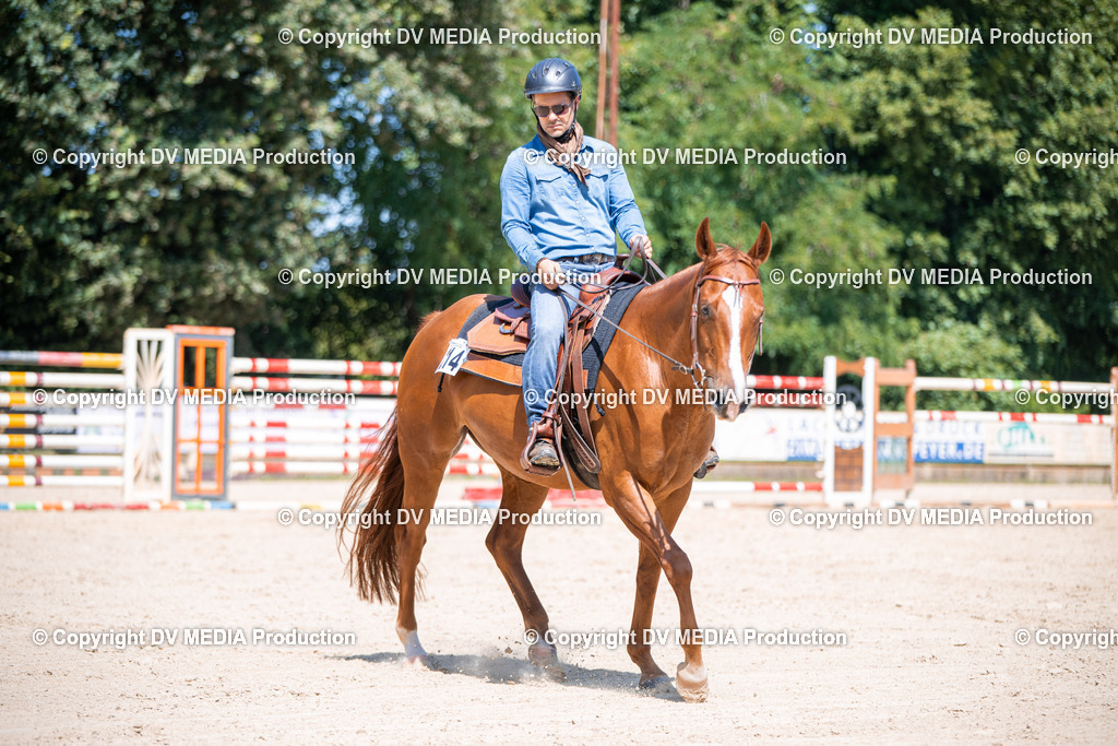 ZS1_1251 | dv-media-shop - Realisiert mit Pictrs.com