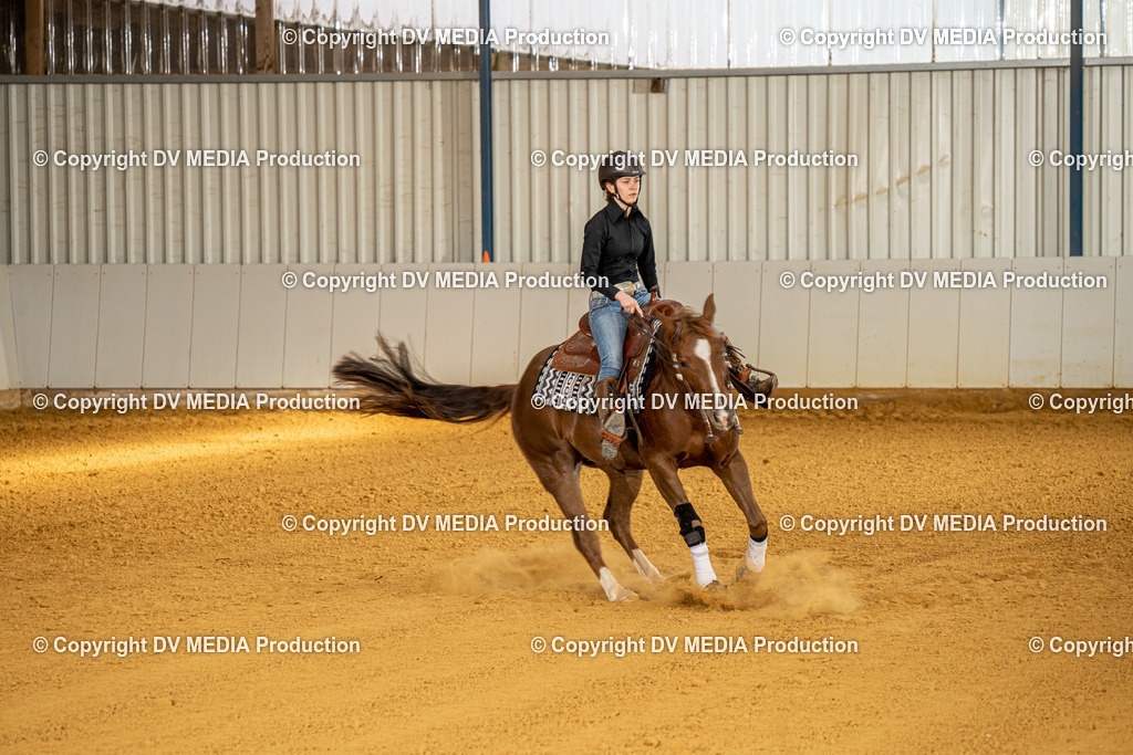 MIT00820 | dv-media-shop - Realisiert mit Pictrs.com