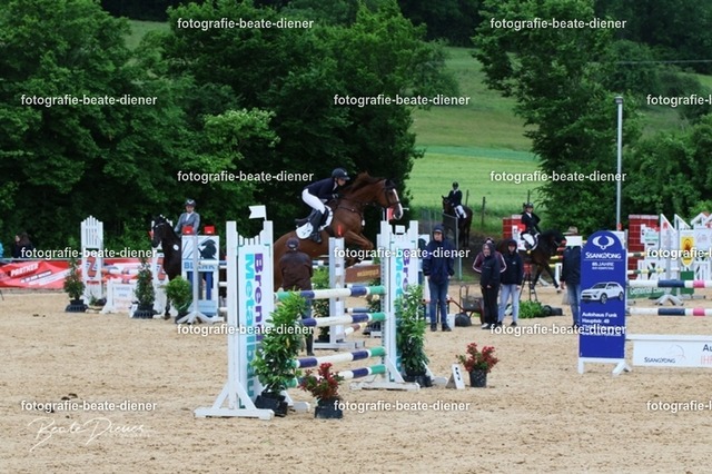 OHT2361 | Fotografie, Tiere, Hunde, Katzen, Pferde, Sportfotografie, Fotosession, Tierfotografie, Turnierfotografie, Fotografin, Fotograf - Realisiert mit Pictrs.com