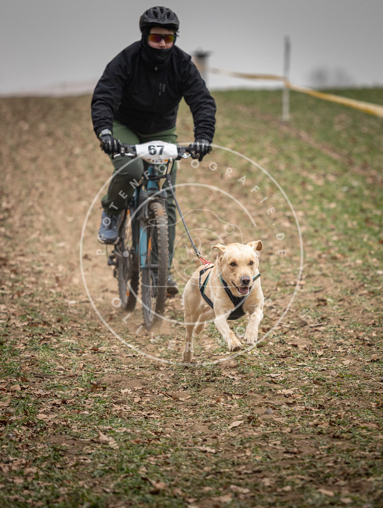 Pfotenfotografie_DV3A2941 | Hundefotografie, Tierfotograf, Pfotenfotografie, Fotoshooting Hund, Hunde Portrait, Hundesport, Hundeportraits, Heideshooting, Hunde, Sportfotograf, Hundefotograf, Turnierhundsport, THS,  - Realisiert mit Pictrs.com