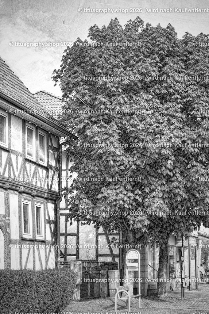 2022-04-29_FT-125_Oberkaufungen_DSC_0461_b-107_pe (Kopie) | titusgraphy-shop: Geschenkideen mit Qualitätsfotos. titusgraphy-shop: gift ideas with quality photos. titusgraphy-shop: idées cadeaux avec photos de qualité.  - Realisiert mit Pictrs.com