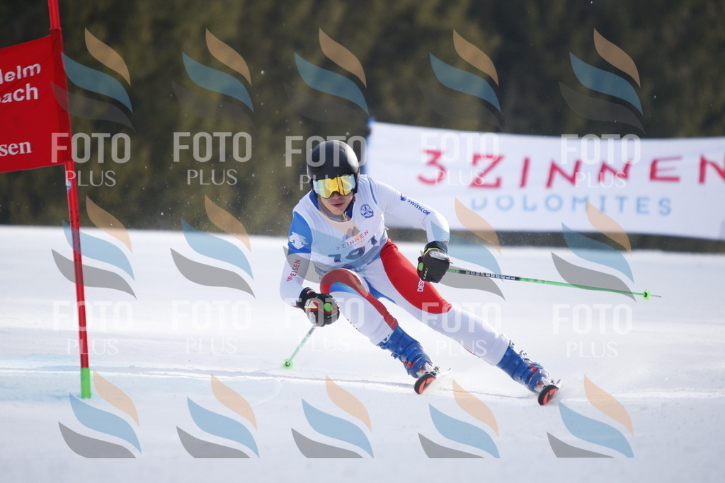 D7699 | holidayphoto