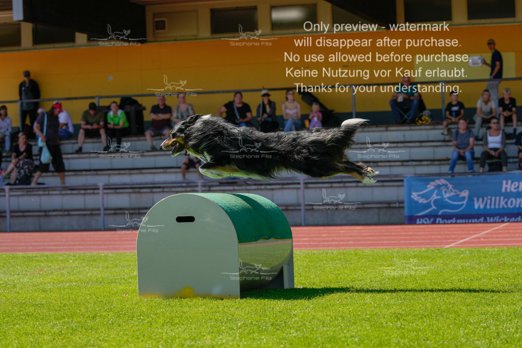 Sonntag_VK Hindernis (410 von 671) | stephaniefillaphotographie - Realisiert mit Pictrs.com