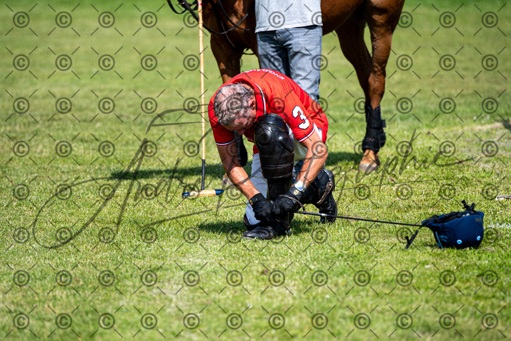 POL_2352 | andre_photographic