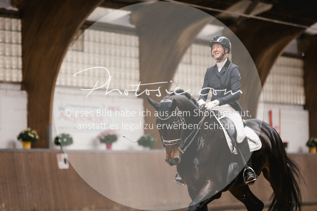 3I6A8273 | Stimmungsvolle Portraits und Reitsportfotografie im Ruhrgebiet und im Münsterland.

Pferdefotografie, Hundefotografie, Tierfotografie, Reportagen, Portraits von Tier und Mensch, Turnierfotografie in Bochum, Recklinghausen, Marl, Haltern am See, Dülmen.. - Realisiert mit Pictrs.com