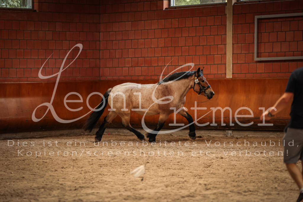 SaFL00312 | Leoni Ertmer Photography - Realisiert mit Pictrs.com