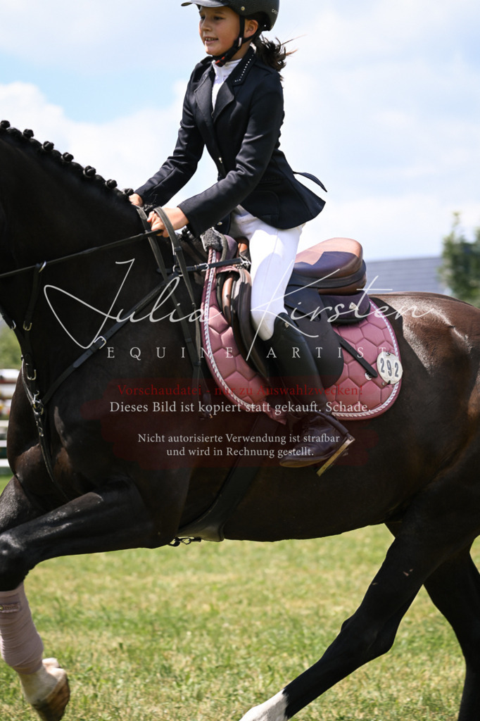 DSC_9378 | Pferde- und Turnierfotografie in Westsachsen. Pferdeportraits, Auftragszeichnungen und intuitive Kunst.