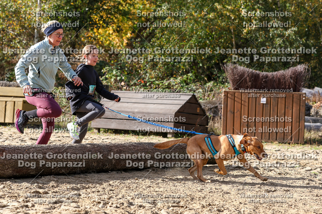 Dog Paparazzi - Strongdog 10-25-5936 | Dog Paparazzi Jeanette Grottendiek Fotografie & Videografie - Realisiert mit Pictrs.com