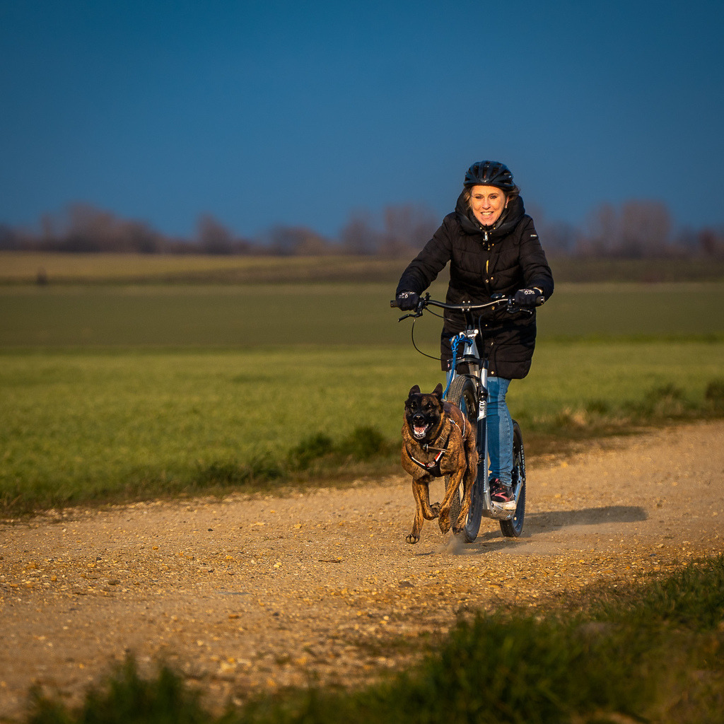 allesWIRTHgut Tierfotografie - 7IV09480 | Professionelle Tierfotografie in Mönchengladbach von Daniel Wirth (allesWIRTHgut). Liebevolle & natürliche Bilder von Hunden & Katzen für unvergessliche Erinnerungen.