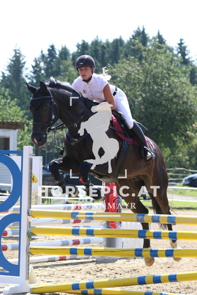 7V2A3494 | Willkommen bei Brunnmayr - Design & Fotografie – Ihrem Spezialisten für Reitturniere und Pferdeveranstaltungen in Oberösterreich, Salzburg und Bayern! Seit über 17 Jahren sind wir leidenschaftlich dabei.