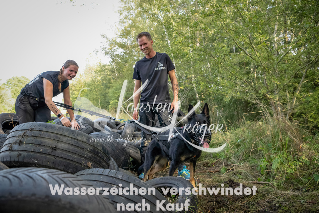 1540_ZZ92107-Bearbeitet | kk-dogfotos