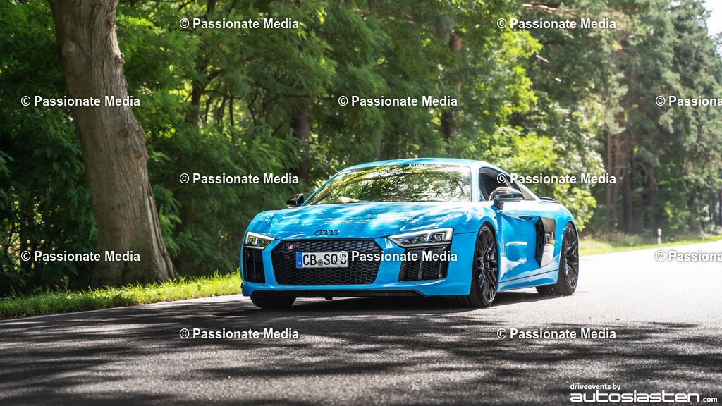 DSC00186 | Passionate Media, dein Fotograf aus Brandenburg, Märkisch Oderland, im Bereich Motorsport, Autos und Motorräder sowie Events und auch Hunde. Shootings oder auch Eventbegleitungen können bei mir gebucht we