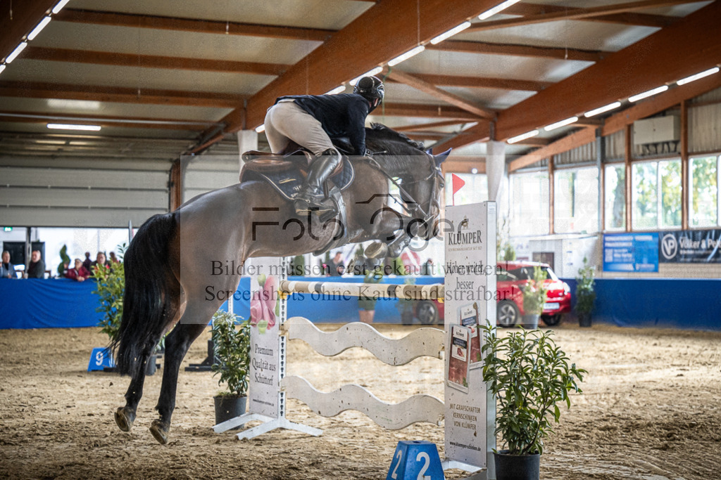 DOS_1134 | Entdecke hochwertige Reitturnierfotos von Foto Oger. Professionell, emotional und authentisch – jetzt Lieblingsmomente im Shop bestellen.Deutschlandweite Turnierfotografie. - Realisiert mit Pictrs.com