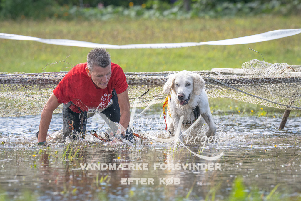 1156_ZZ90609 | kk-dogfotos