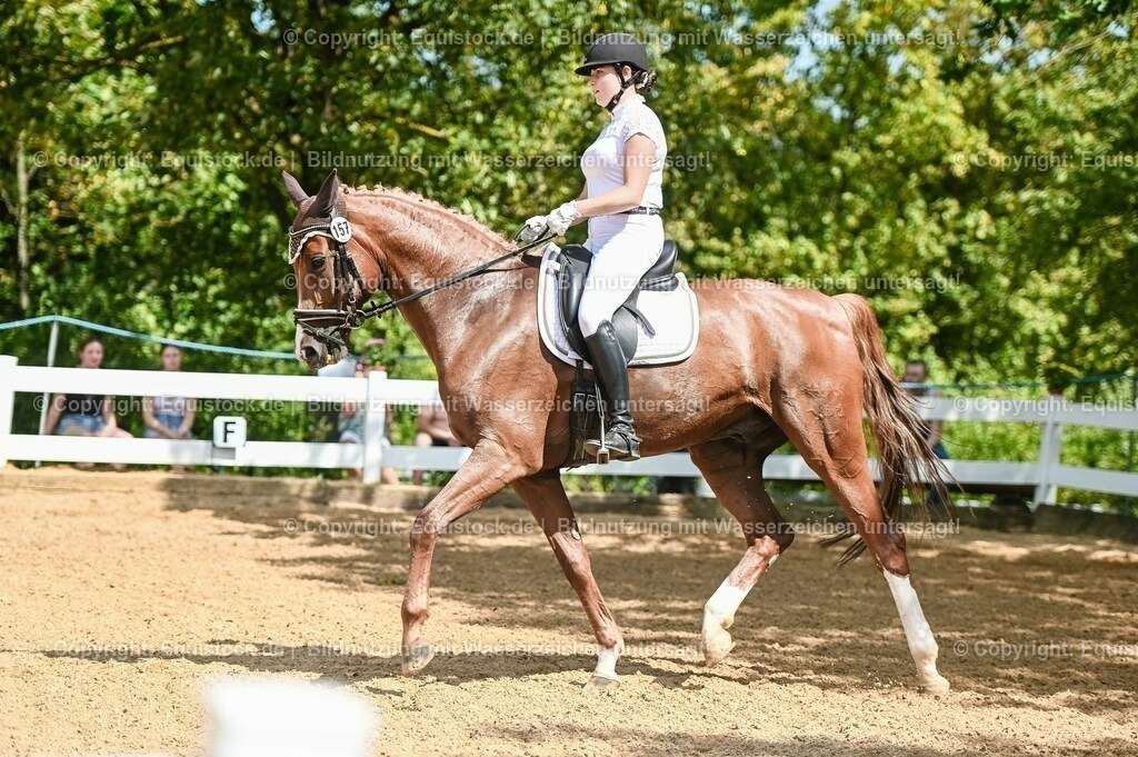 20230715_02_Dressurreiterprüfung Kl.L_0252 | equistock