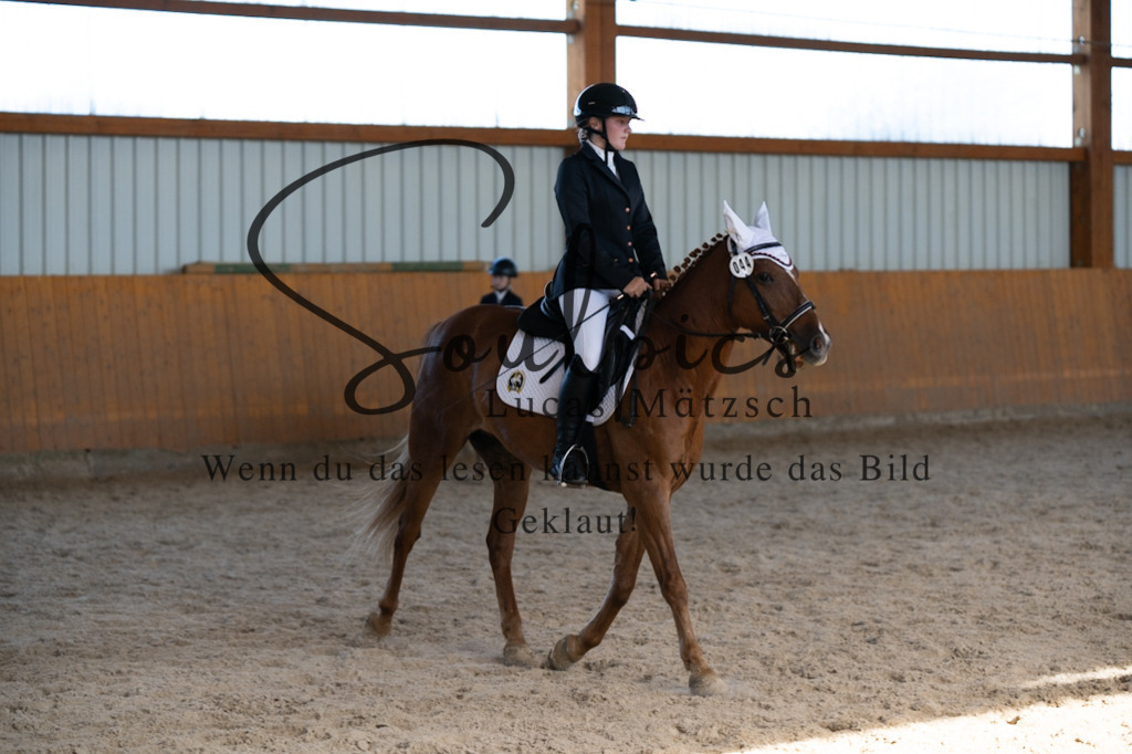 A7V02111 | Turnier/Reitfotograf