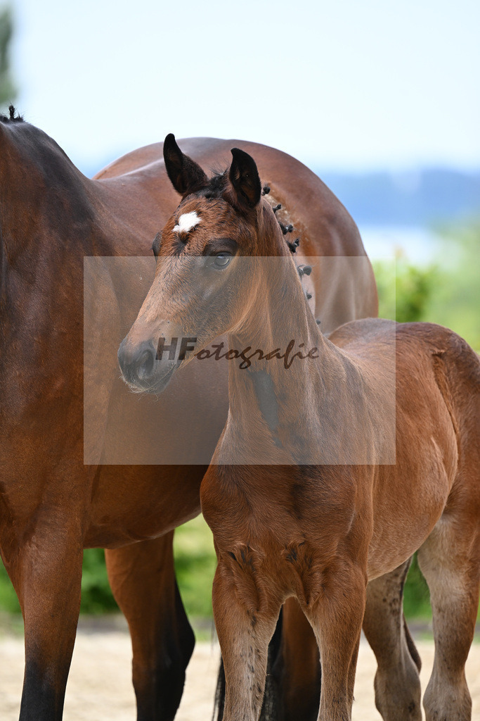 Vangelis x Brentano II_HF_Schmid_19240205 | hf-fotografie - Realisiert mit Pictrs.com