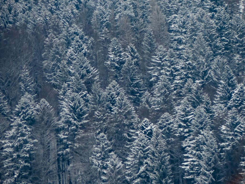 PSX_20230122_222401 | mtkfoto_ - Realisiert mit Pictrs.com