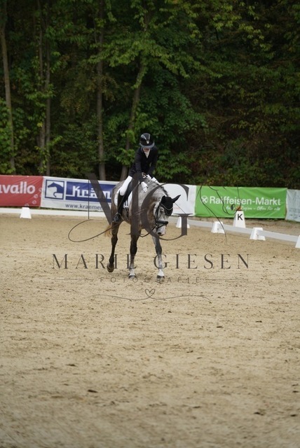 VAN01687 | Marie Giesen Fotografie - Realisiert mit Pictrs.com