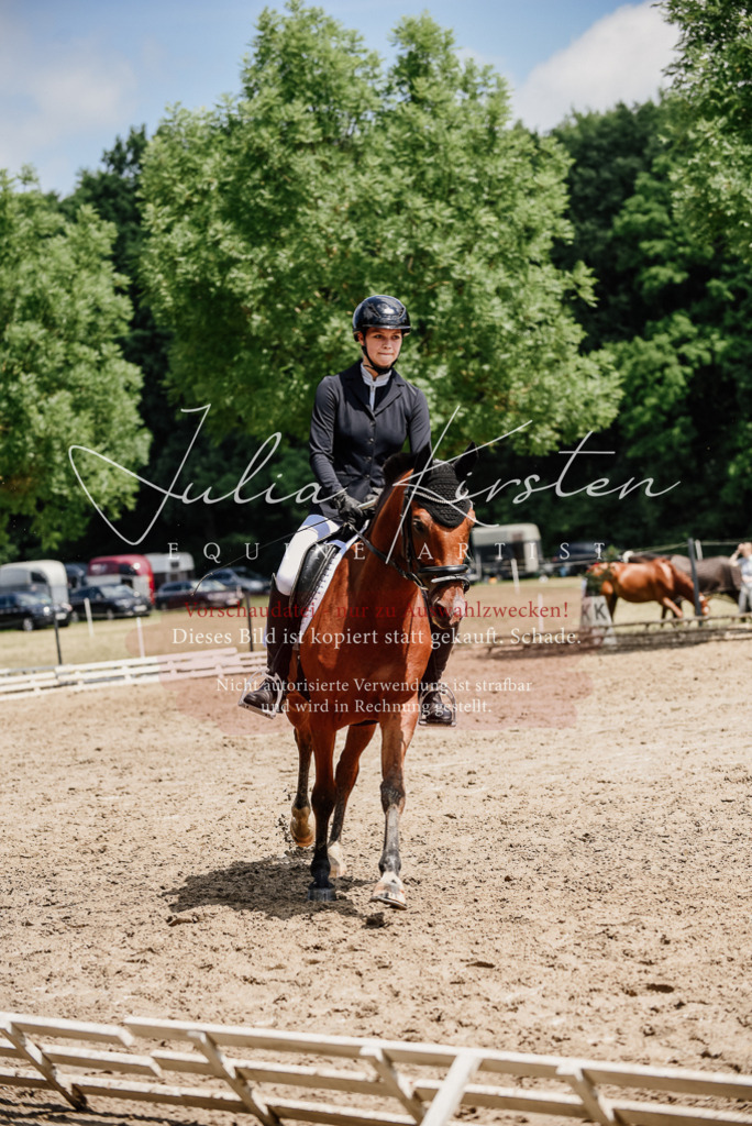 DSC_1761 | Pferde- und Turnierfotografie in Westsachsen. Pferdeportraits, Auftragszeichnungen und intuitive Kunst.