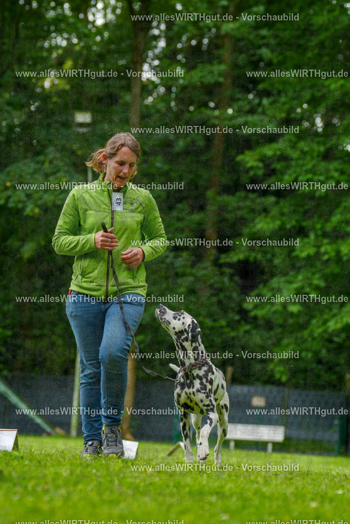 @allesWIRTHgut_Tierfotografie - www.allesWIRTHgut.de - 135124-7R500081 | Professionelle Tierfotografie in Mönchengladbach von Daniel Wirth (allesWIRTHgut). Liebevolle & natürliche Bilder von Hunden & Katzen für unvergessliche Erinnerungen.