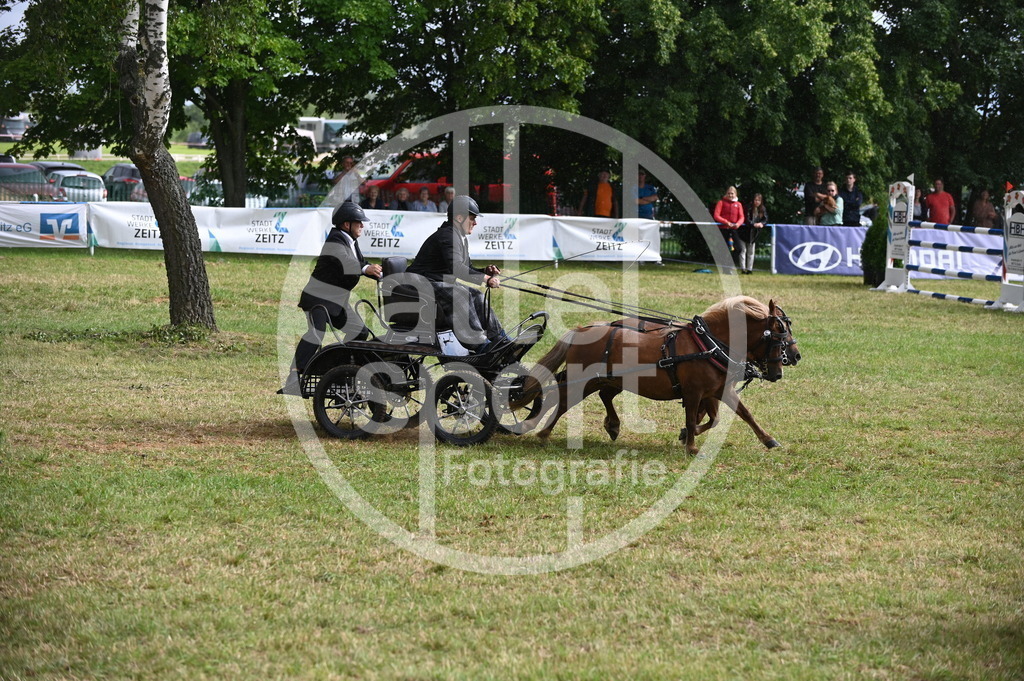 DSC_8860 | sattelsport - Realisiert mit Pictrs.com