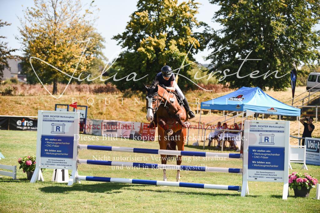 DSC_2787 | Pferde- und Turnierfotografie in Westsachsen. Pferdeportraits, Auftragszeichnungen und intuitive Kunst.