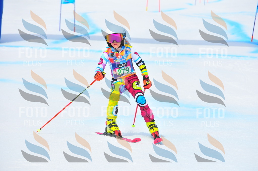 DSC_2601 | holidayphoto