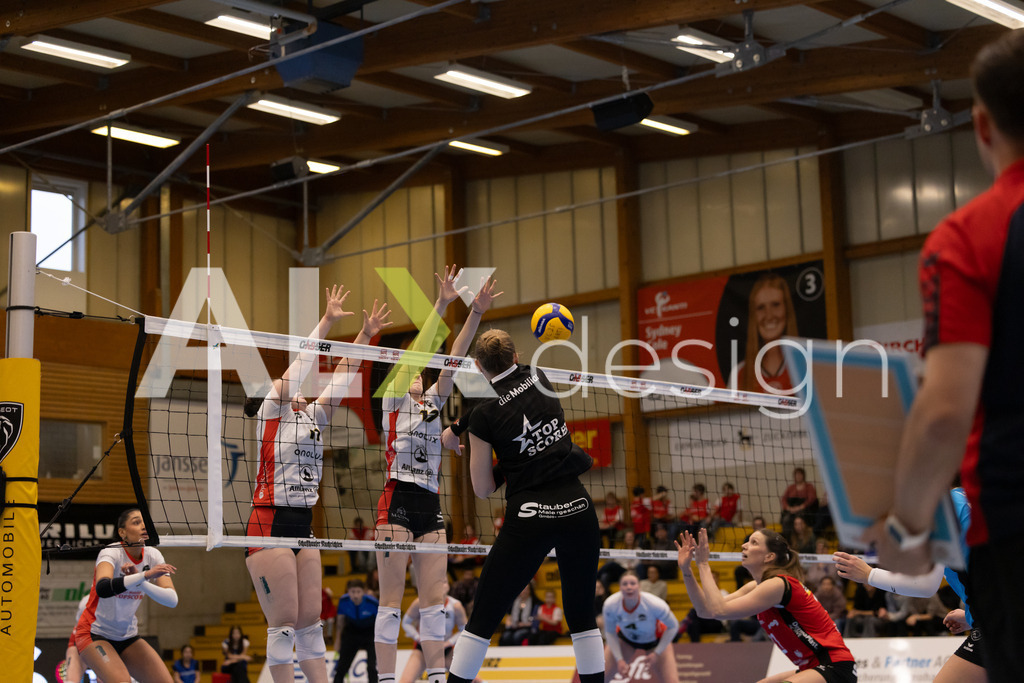 Volleyball I Frauen I Saison 2025-2026 I Volleyball NLA | Women I 1/4 Finals I VC Kanti Schaffhausen - BIWI Volleyball Franches-Montagnes I 21.02.2026 | 9 Jordan Lockwood (USA) (VC Kanti Schaffhausen) – Diagonal - Realisiert mit Pictrs.com