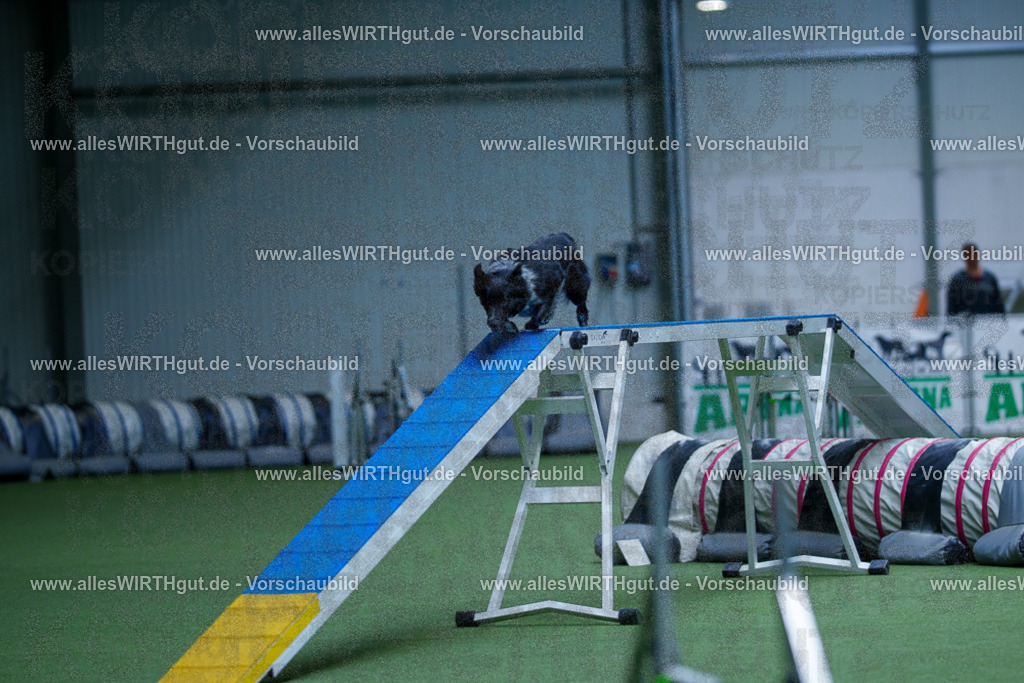 @allesWIRTHgut_Tierfotografie - www.allesWIRTHgut.de - 2604261143-7R500322 | Professionelle Tierfotografie in Mönchengladbach von Daniel Wirth (allesWIRTHgut). Liebevolle & natürliche Bilder von Hunden & Katzen für unvergessliche Erinnerungen.