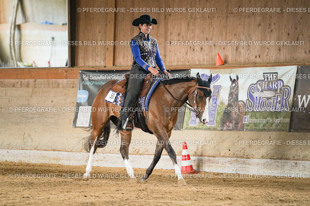 DSC05603 | Pferdegrafie