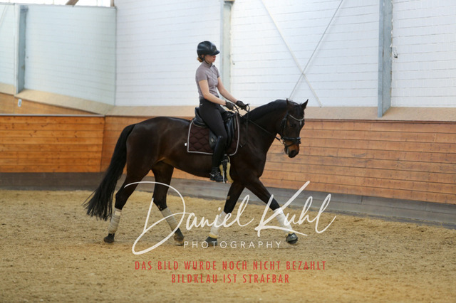 IMG_3504 | Turniersportfotografie; Pferdefotografie; Dressurfotografie