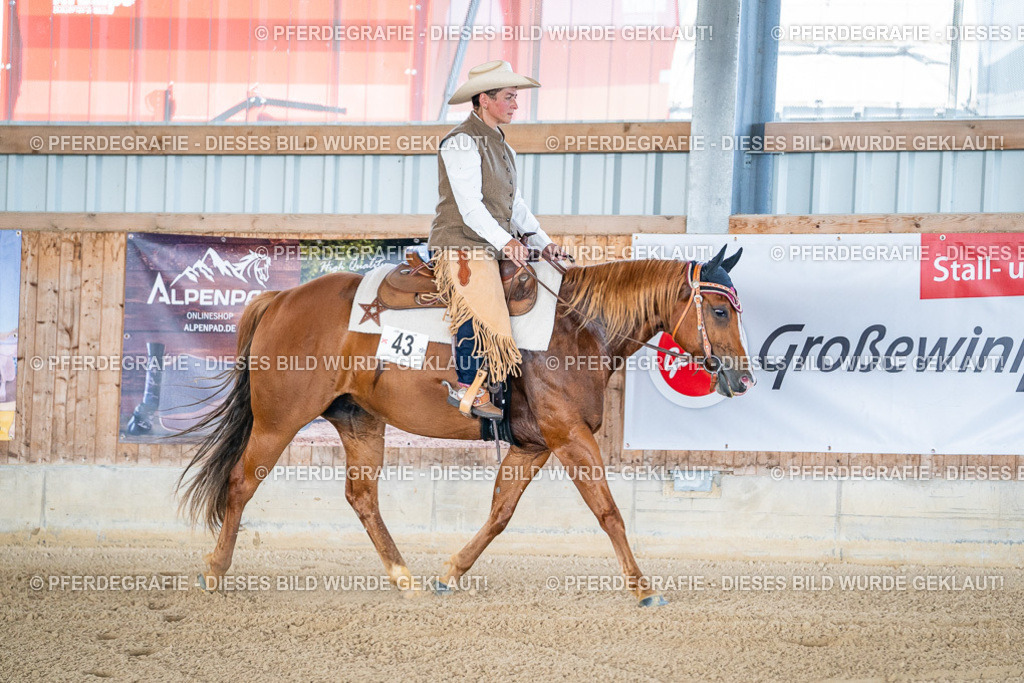 DSC01627 | Pferdegrafie