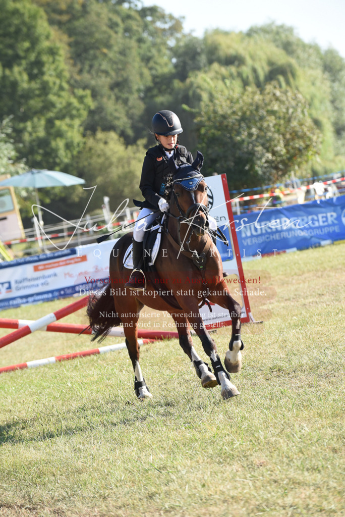 DSC_5604 | Pferde- und Turnierfotografie in Westsachsen. Pferdeportraits, Auftragszeichnungen und intuitive Kunst.