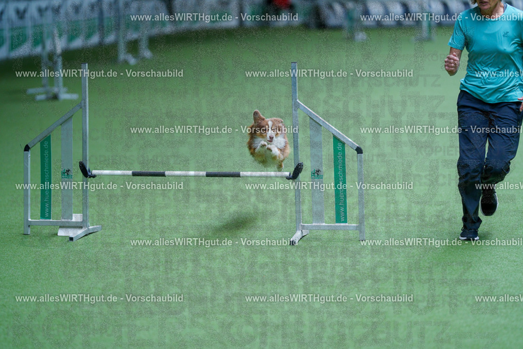 @allesWIRTHgut_Tierfotografie - www.allesWIRTHgut.de - 2604261219-7R500699 | Professionelle Tierfotografie in Mönchengladbach von Daniel Wirth (allesWIRTHgut). Liebevolle & natürliche Bilder von Hunden & Katzen für unvergessliche Erinnerungen.