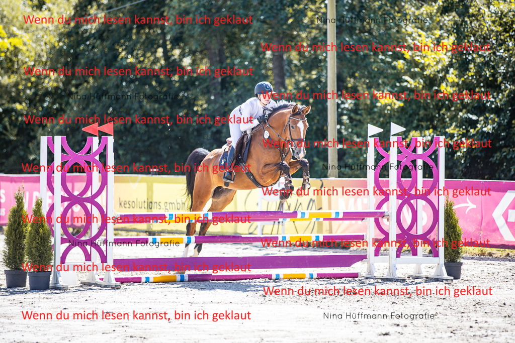 BK1A5277 | Turnierbilder Turnierfotos Nina Hüffmann Turnierfotografie Pferdefotografie Tierzeichnung Haustierzeichnung Pferdezeichnung Hundezeichnung Videograf  - Realisiert mit Pictrs.com