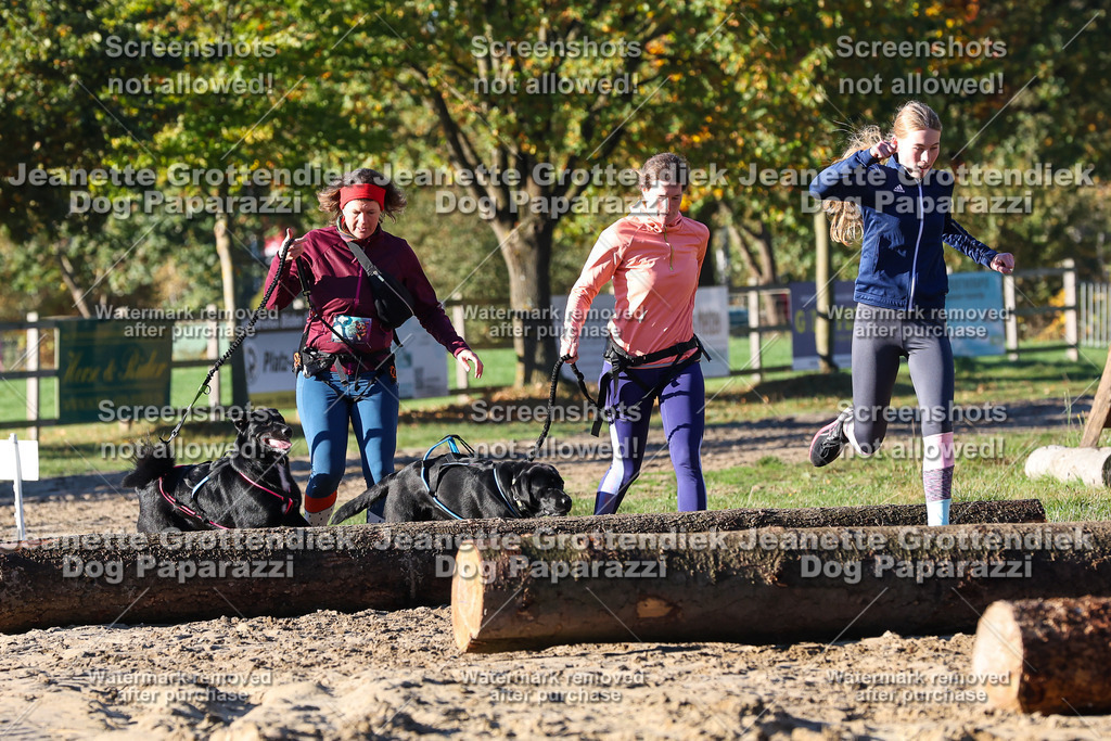 Dog Paparazzi - Strongdog 10-25-1352 | Dog Paparazzi Jeanette Grottendiek Fotografie & Videografie - Realisiert mit Pictrs.com