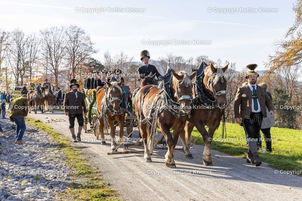 LBT24-1300 | foto-bettina-krinner - Realisiert mit Pictrs.com