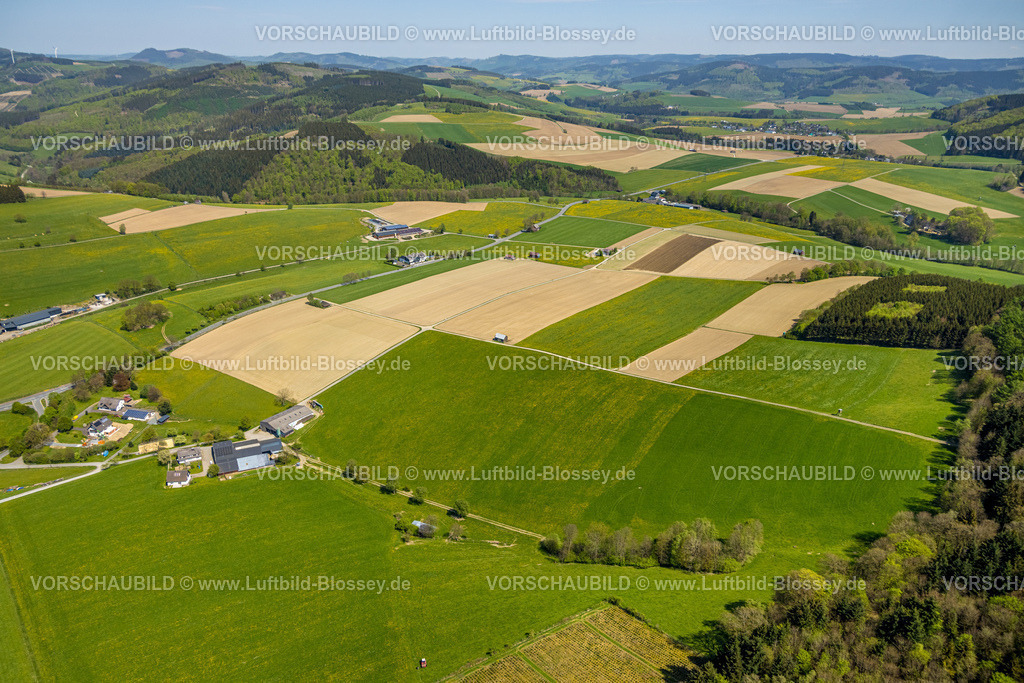 Schmallenberg240505055Boedefeld | Luftbild, Hügellandschaft mit Wald, kachelförmige Strukturen Wiesen und Felder, Hütten auf den Feldern, Bödefeld, Schmallenberg, Sauerland, Nordrhein-Westfalen, Deutschland