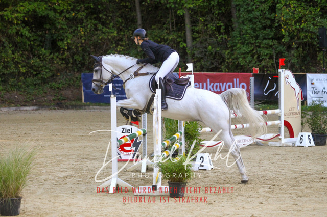 DKP42703 | Deine Turnierfotos vom Reitturnier online kaufen: Dressur, Springen & Siegerehrung. Professionelle Pferdefotografie aus dem Rheinland – als Download & Print.Alternative: Turnierfotograf für den Pferdesport: Finde deine Fotos von Dressur- und Springturnier