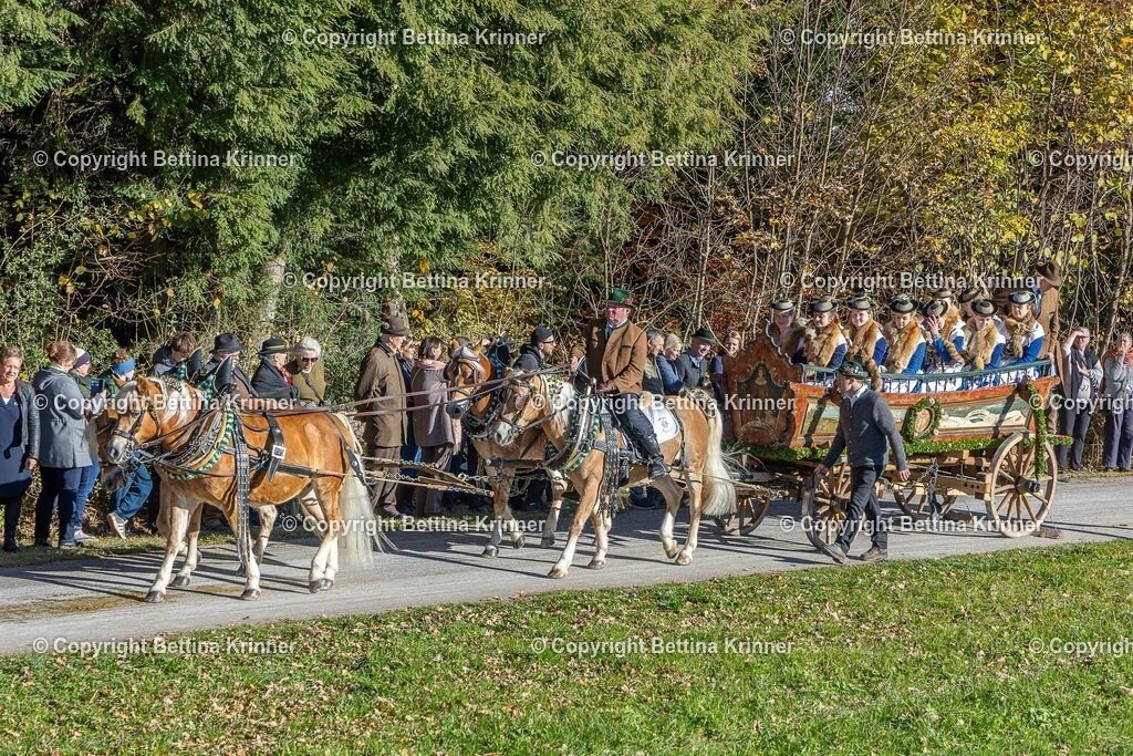 LBT25-668 | foto-bettina-krinner - Realisiert mit Pictrs.com