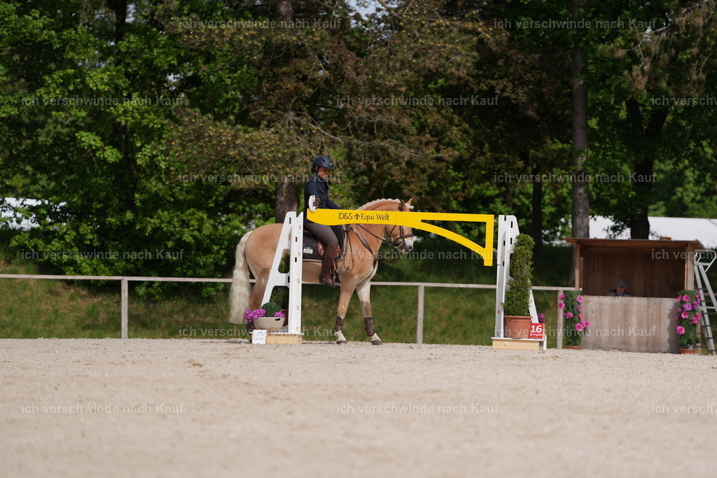 PI26_ST_Jan_Picutures7C_06851.JPG | working equitationturnier fotograf videograf stoibphotography marixx film working equitation deutschland reitsport turnierfotografie eventfotografie equestrian events
