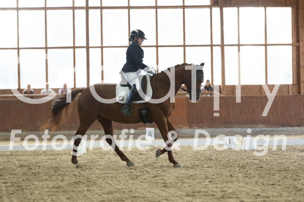 IMG_2991 | Creatify Fotografie