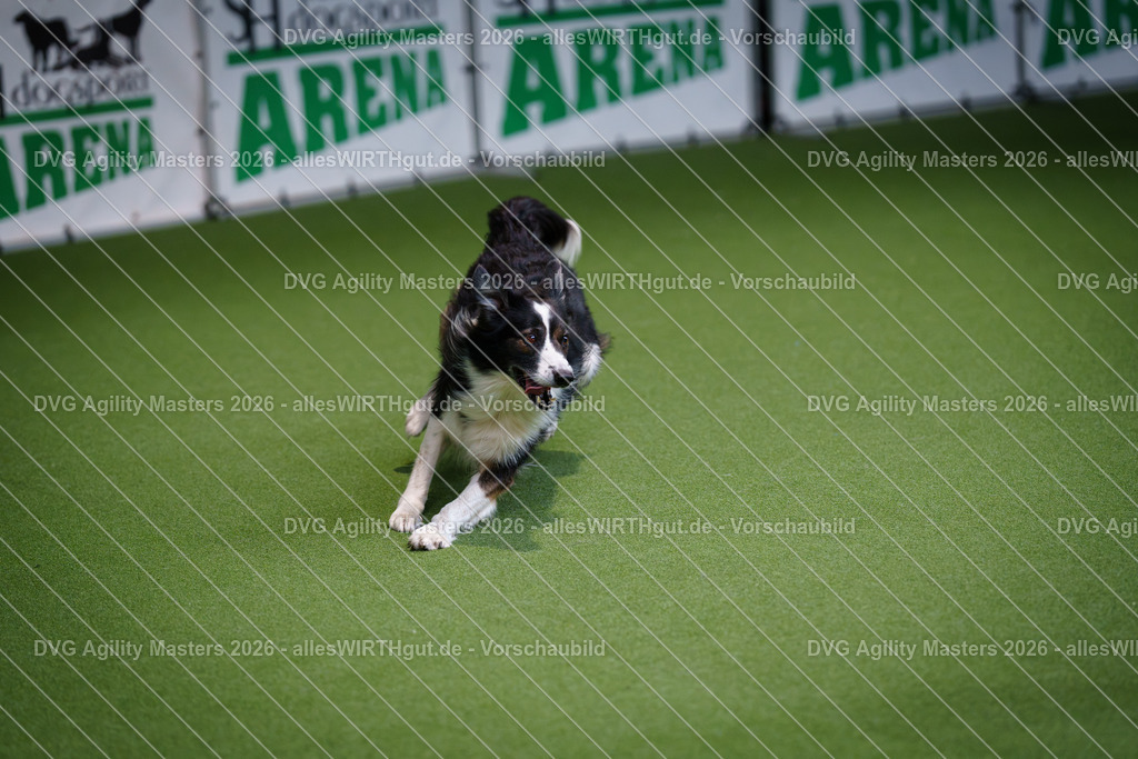 allesWIRTHgut_Tierfotografie-DVG_Agility_Masters_2026-09_53-7R502940 | Professionelle Tierfotografie in Mönchengladbach von Daniel Wirth (allesWIRTHgut). Liebevolle & natürliche Bilder von Hunden & Katzen für unvergessliche Erinnerungen.